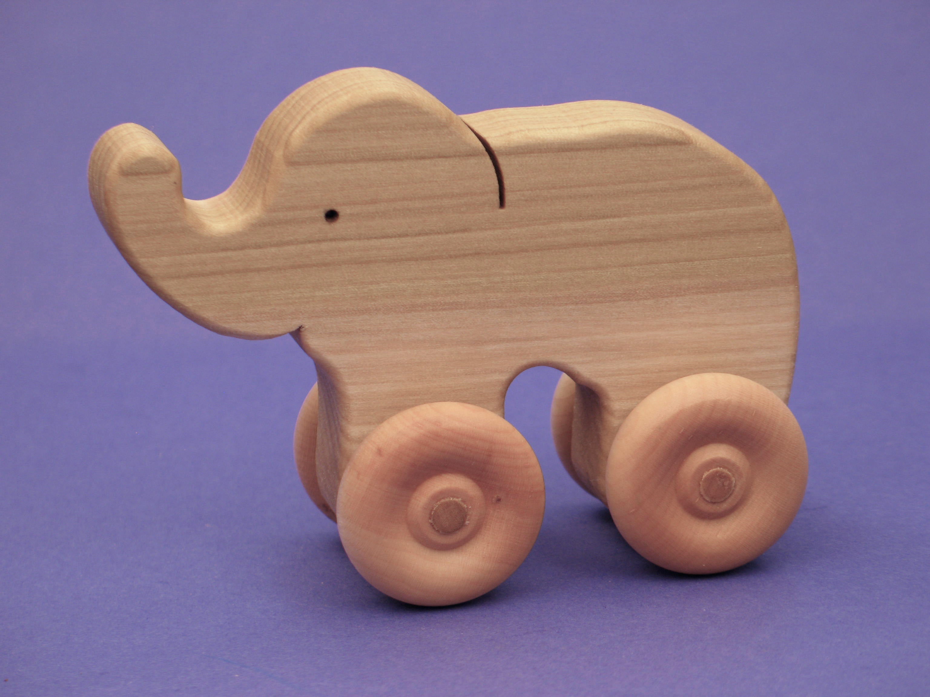 Baby's First Elephant